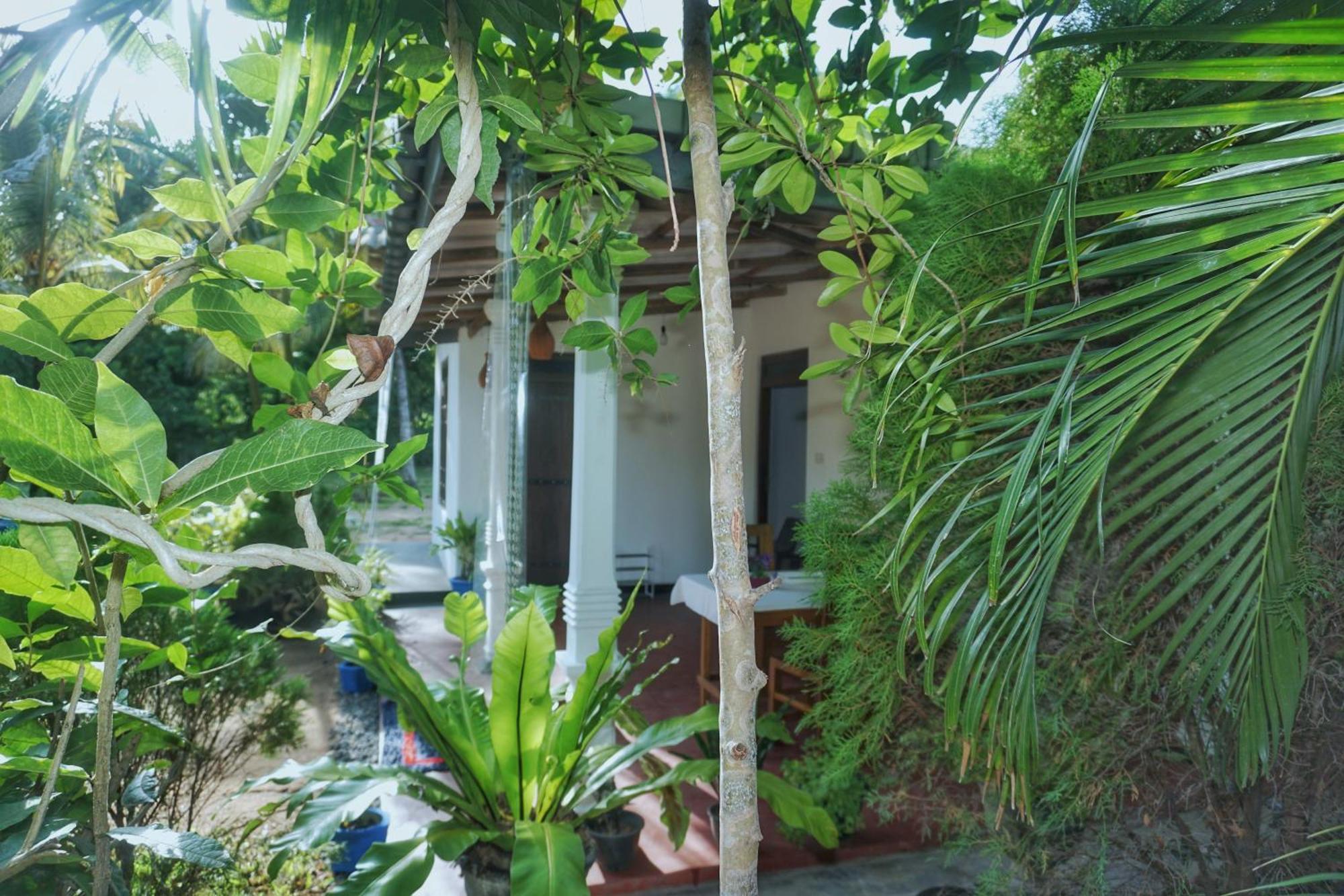 Sashini Homestay Sigirîya Extérieur photo